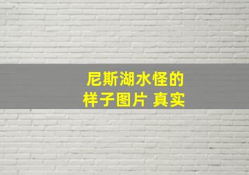 尼斯湖水怪的样子图片 真实